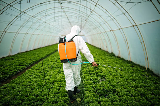 Best Affordable Exterminators  in Winsted, MN