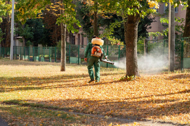 Best Mosquito Control Services  in Winsted, MN