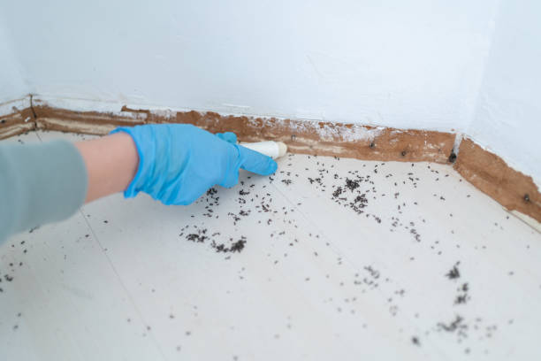 Best Emergency Pest Control  in Winsted, MN