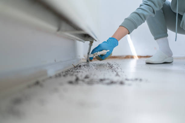 Best Residential Pest Control  in Winsted, MN